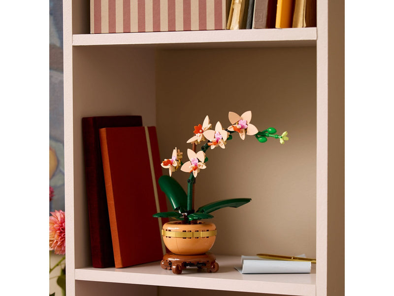LEGO Botanicals 10343 Mini-Orchidee