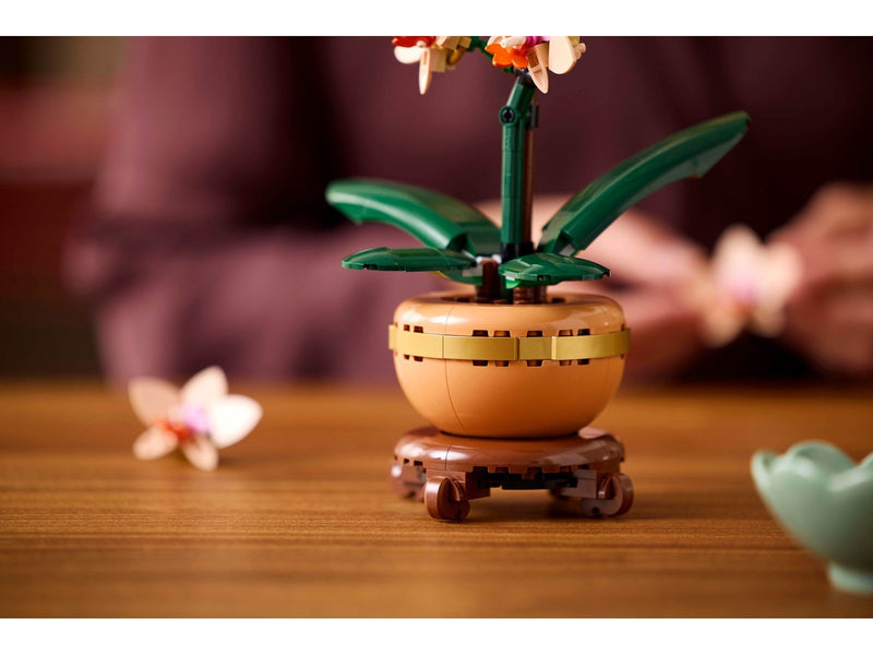 LEGO Botanicals 10343 Mini-Orchidee