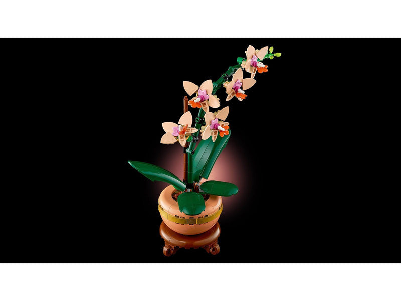 LEGO Botanicals 10343 Mini-Orchidee