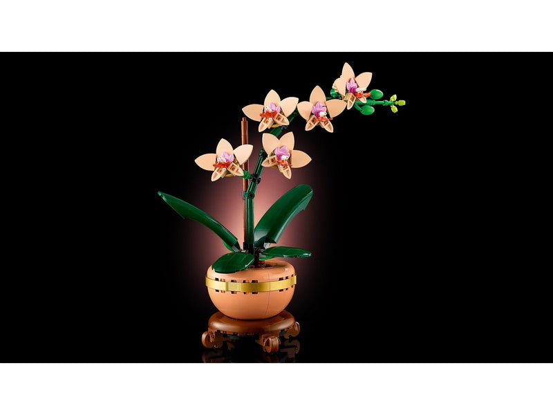 LEGO Botanicals 10343 Mini-Orchidee
