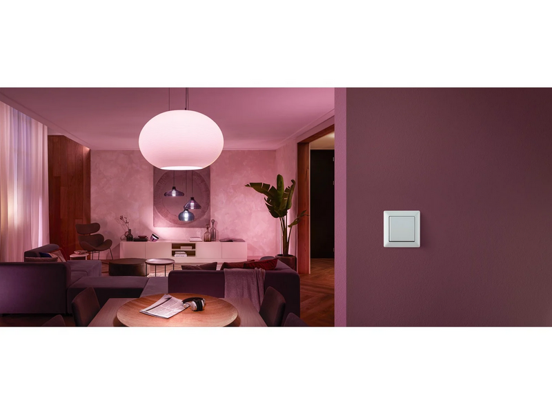 Philips Hue Wall Switch Module 2-Pack