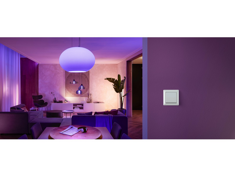 Philips Hue Wall Switch Module 2-Pack