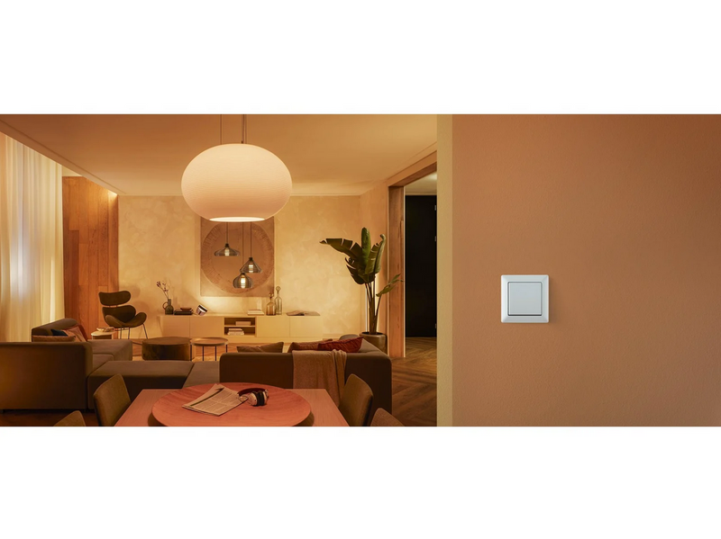 Philips Hue Wall Switch Module 2-Pack