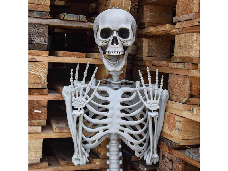 Mikamax Skelett – Realistisch – 170 cm – Halloween-Dekoration