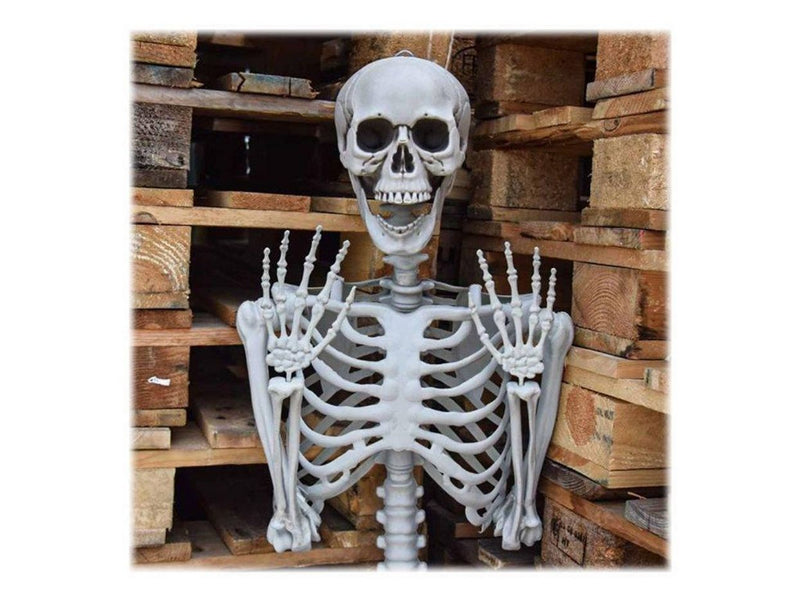 Mikamax Skelett – Realistisch – 170 cm – Halloween-Dekoration