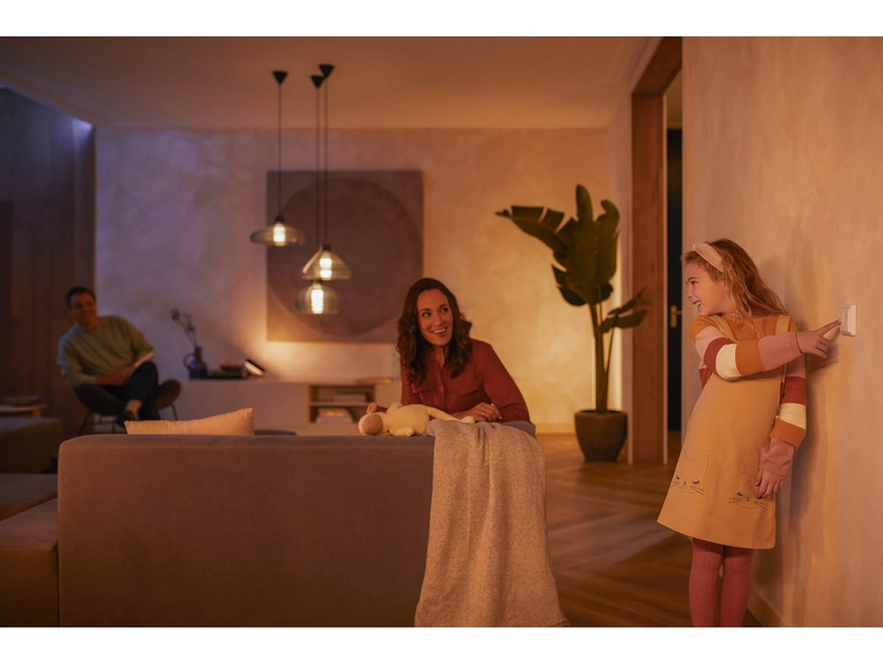 Philips Hue Wall Switch Module 2-Pack