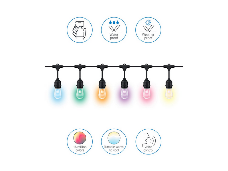 WiZ Lichterkette - LED x 12 - RGB - Schwarz