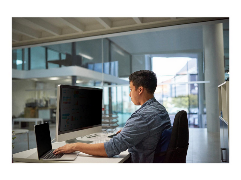 3M Privacy Filter for 49" Full Screen Monitors 32:9 PF490W3E
