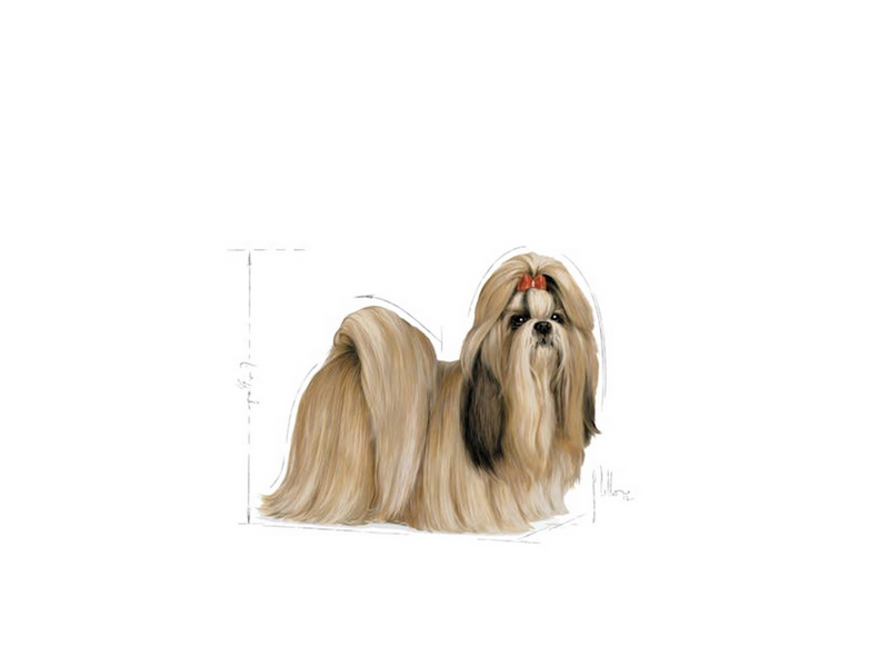 Royal Canin BHN Shih Tzu Adult -.dry food for adult dogs - 7.5kg