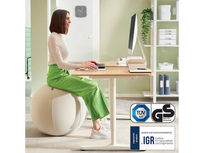 Leitz Ergo Active Sitzball mit Anti-Wegroll-Design, 75cm Grau
