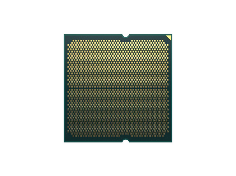 AMD Ryzen 5 8600G Wraith Stealth CPU - 6 Kerne - 4.35 GHz - AMD AM5 - AMD Boxed