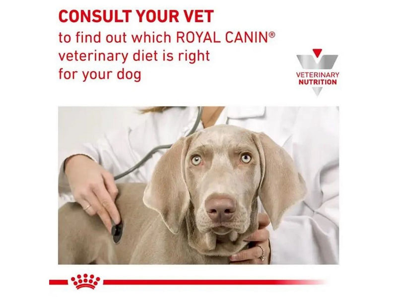 Royal Canin Gastrointestinal Low Fat 6 kg