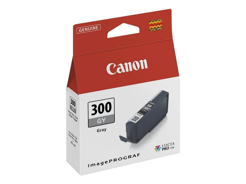 Canon PFI-300 / 4200C001 Grey