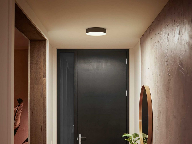 Philips Hue Enrave Small Ceiling Lamp - Black