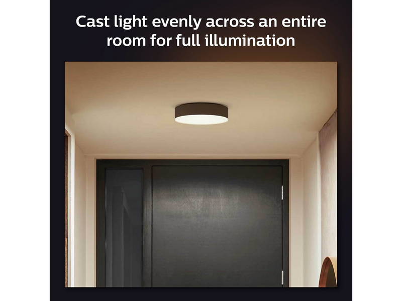 Philips Hue Enrave Small Ceiling Lamp - Black