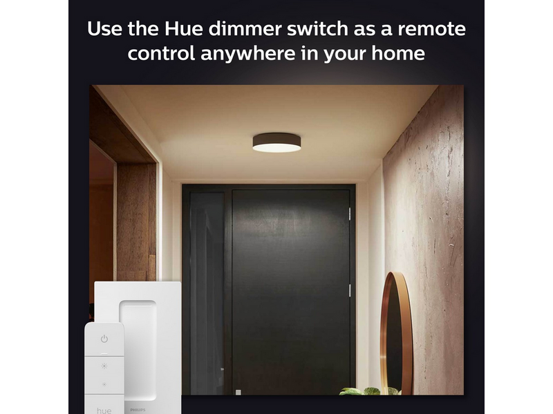 Philips Hue Enrave Small Ceiling Lamp - Black