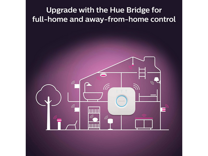 Philips Hue Color A60 E27 1100 Lumen - Doppelpack