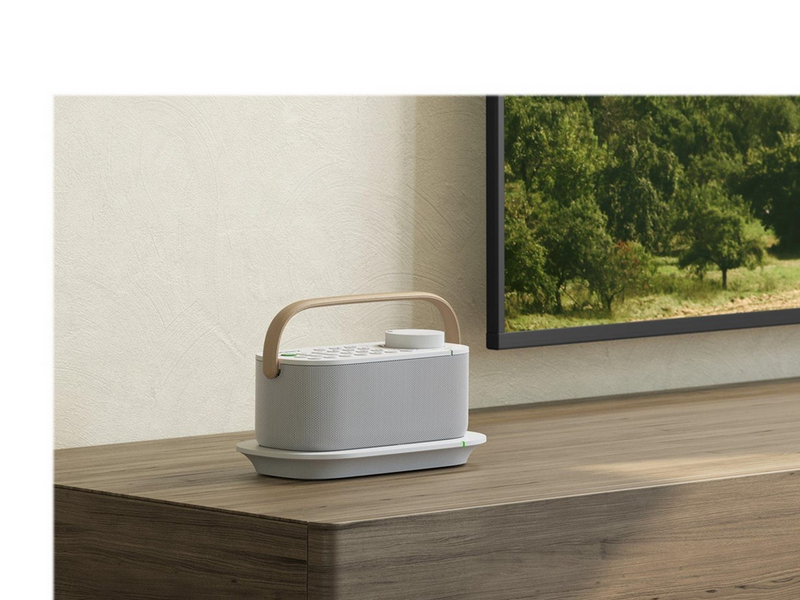 Sony SRS-LSR200 - speaker - for TV - wireless