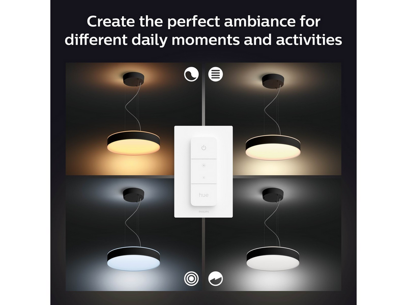 Philips Hue Enrave Pendelleuchte (Schwarz)