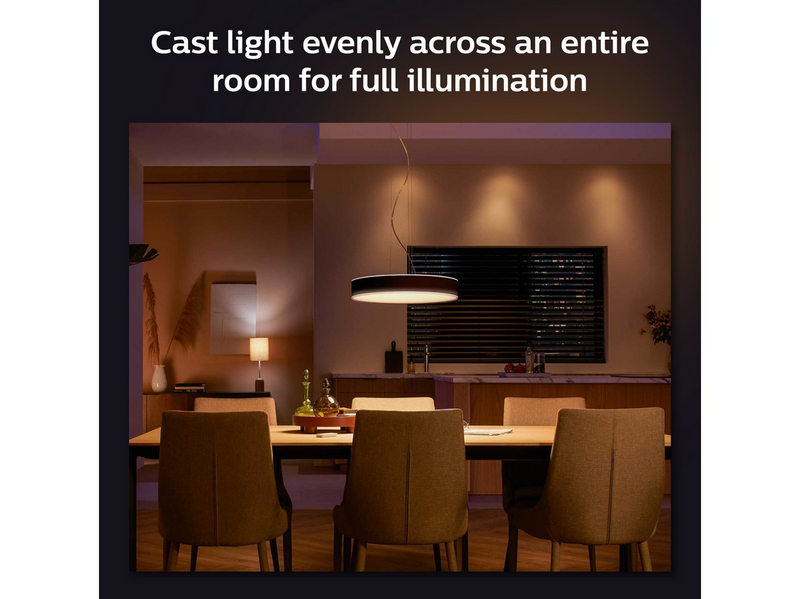Philips Hue Enrave Pendelleuchte (Schwarz)