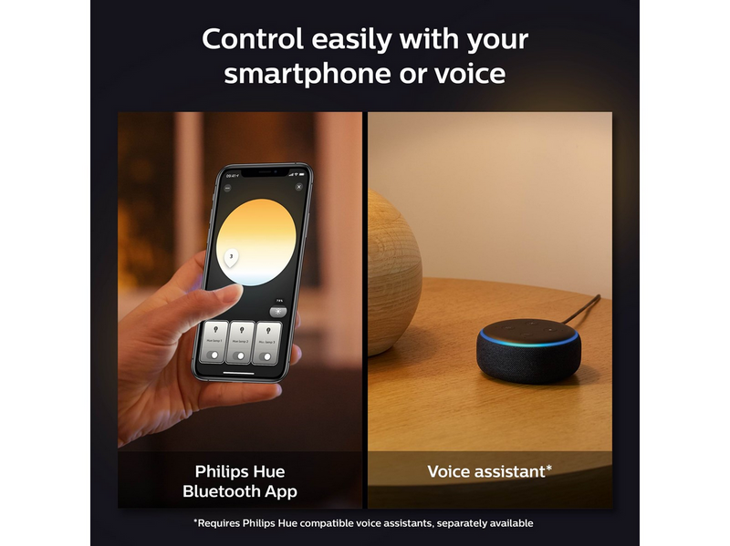Philips Hue Enrave Pendelleuchte (Schwarz)
