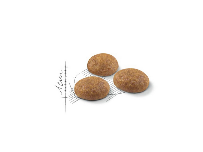 Royal Canin Outdoor Adult 2kg