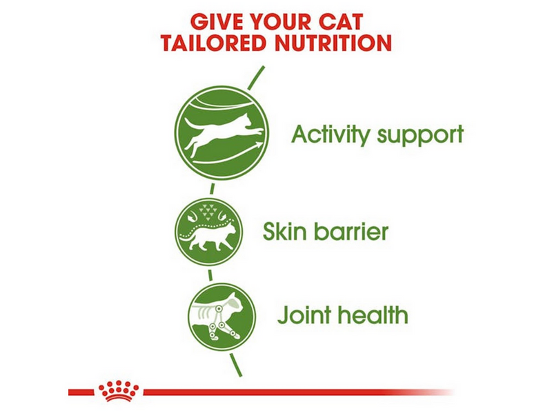 Royal Canin Outdoor Adult 2kg