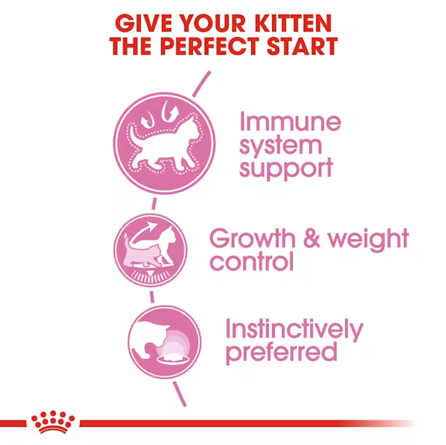 Royal Canin Kitten Sterilised Jelly 12 × 85 g
