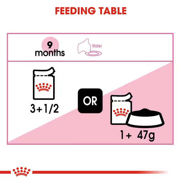 Royal Canin Kitten Sterilised Jelly 12 × 85 g