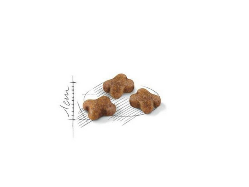 Royal Canin Kitten 4 kg