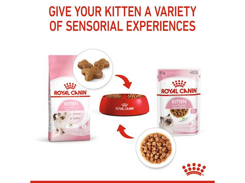 Royal Canin Kitten 4 kg