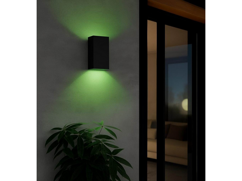 EGLO EREMITANA-Z outdoor wall lamp black
