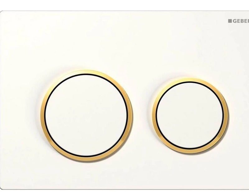 Geberit actuator plate omega20 for dual flush: white / gold