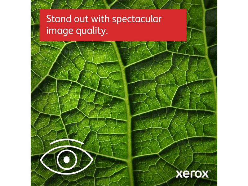 Xerox B230 Mono Laser printer (B230V/DNI) - Einfarbig - Laser