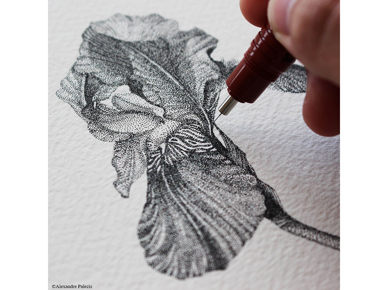 Rotring rOtring Isograph technischer Zeichenstift | 0,10 mm nachfüllbare
