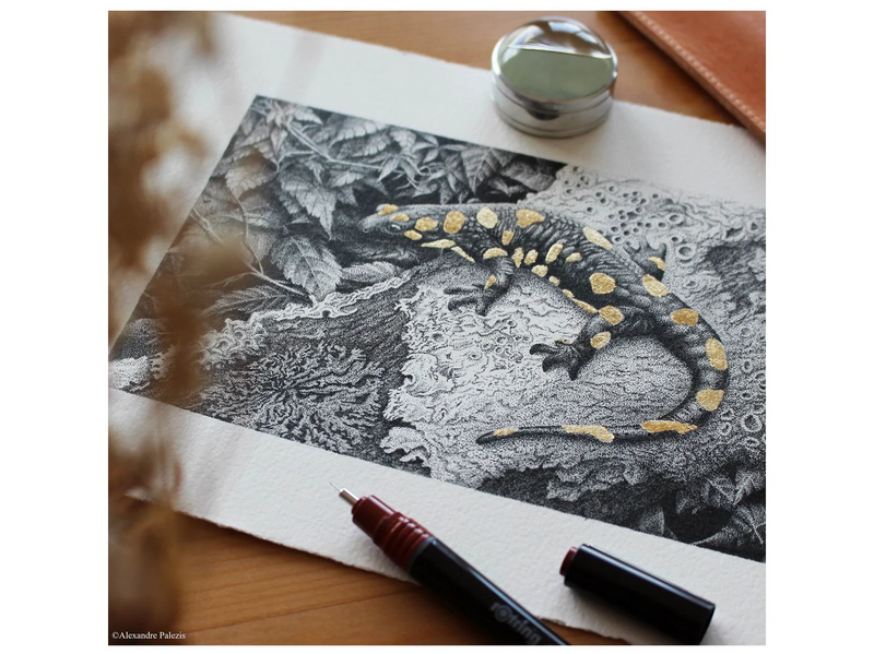 Rotring rOtring Isograph technischer Zeichenstift | 0,10 mm nachfüllbare