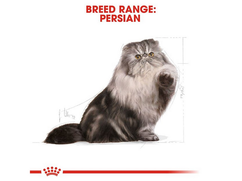 Royal Canin Persian Adult 4kg
