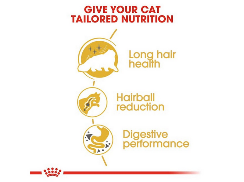 Royal Canin Persian Adult 4kg