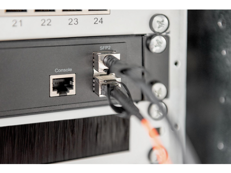 DIGITUS SFP+ 10G DAC Cable - 2m - Schwarz - 2m