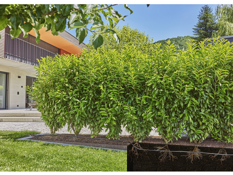 Gardena Tropfbewässerung Set Hecken/Büsche (50 m)
