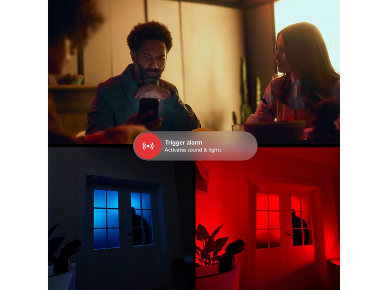 Philips Hue 3m CSA-2DA Cable Black (24v outdoor)