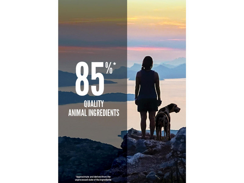ORIJEN Six Fish Complete Dry Dog Food 11.4kg