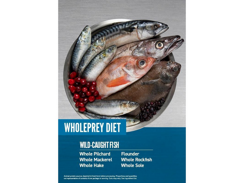 ORIJEN Six Fish Complete Dry Dog Food 11.4kg