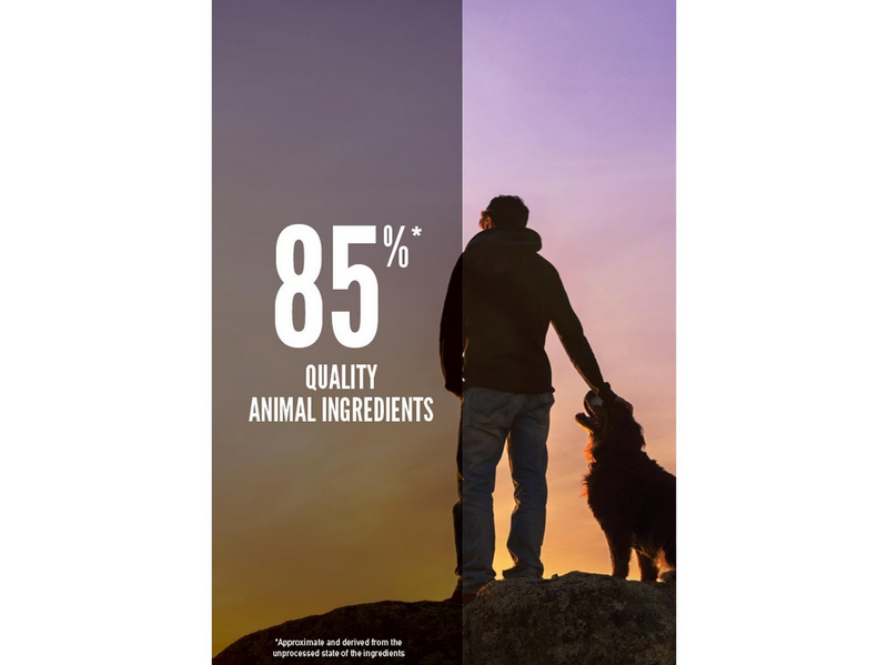 ORIJEN Regional Red Complete Dry Dog Food 6kg