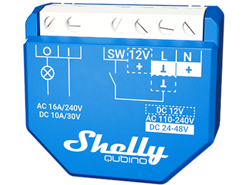Shelly Qubino Wave 1