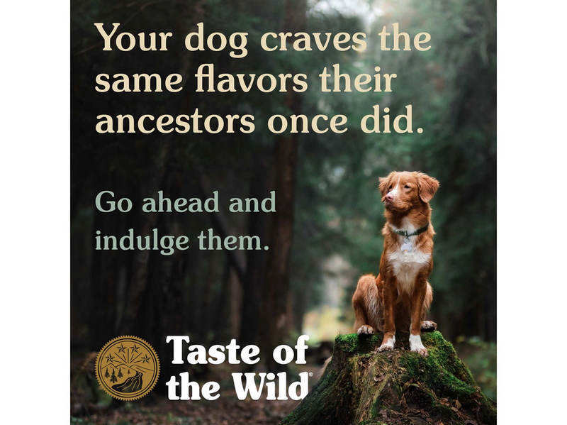 Taste of the Wild Southwest Canyon Canine Recipe Wild Boar 12.2kg