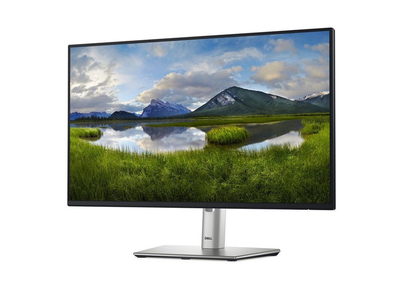24" Dell P2425H - 1920x1080 (FHD) - 100Hz - IPS - 15W USB-C