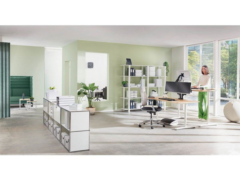 Leitz Ergo Platzsparender Single Monitorarm