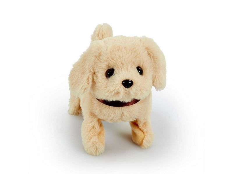 Happy Pets Playful Puppy Pals 1 pcs. (Assorted)