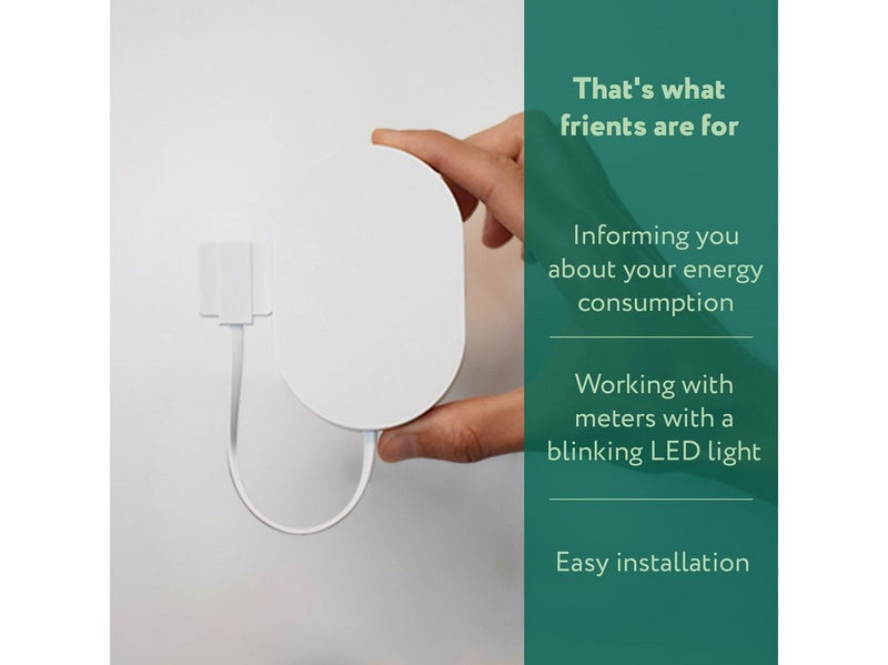 frient Electricity Meter Interface 2 LED